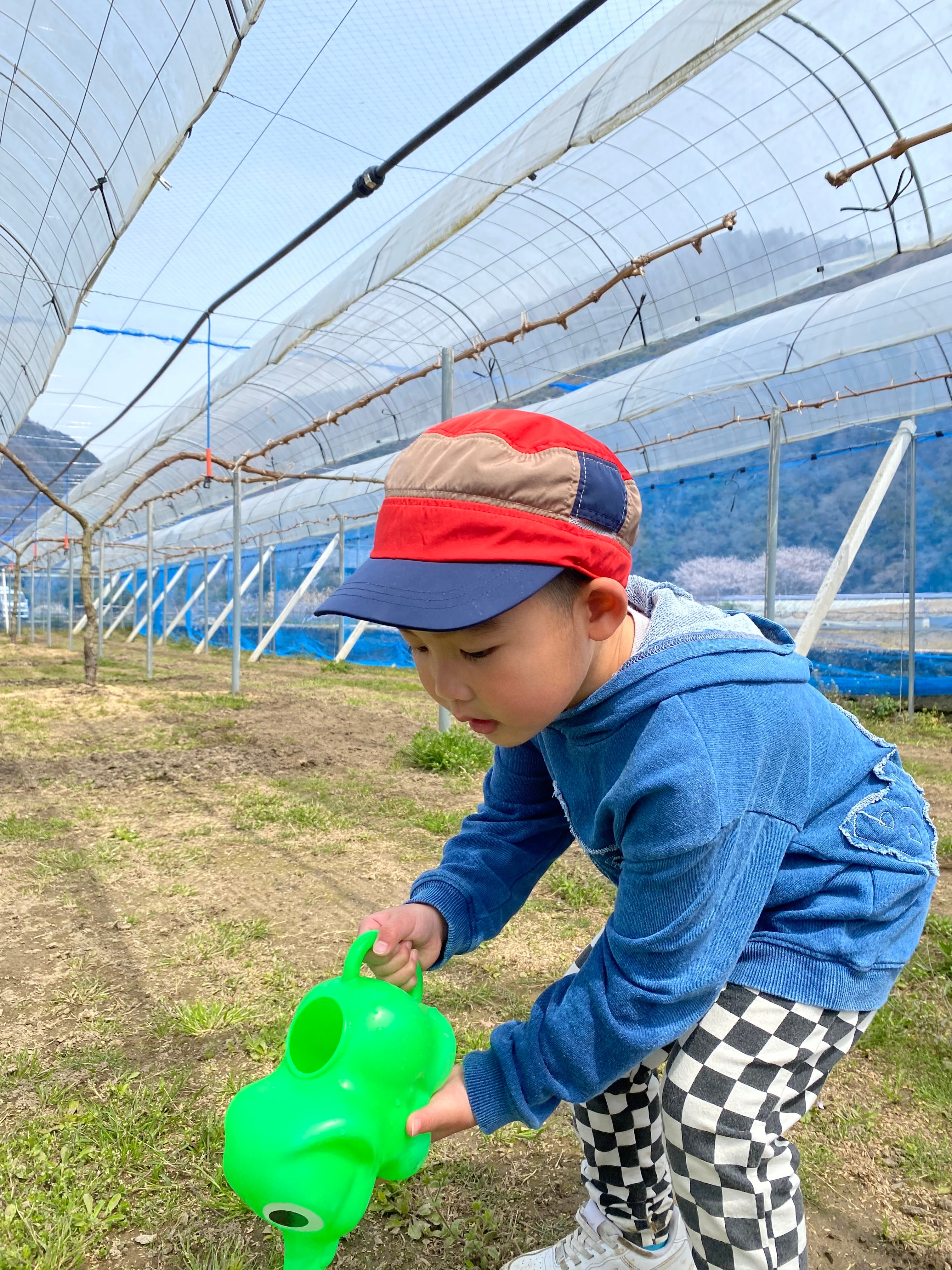 家族と共に、畑と向き合う日々