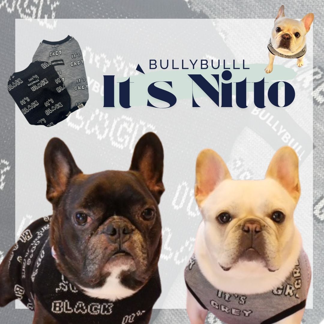 フレブル・ブリーの洋服屋さん】BULLY BULL
