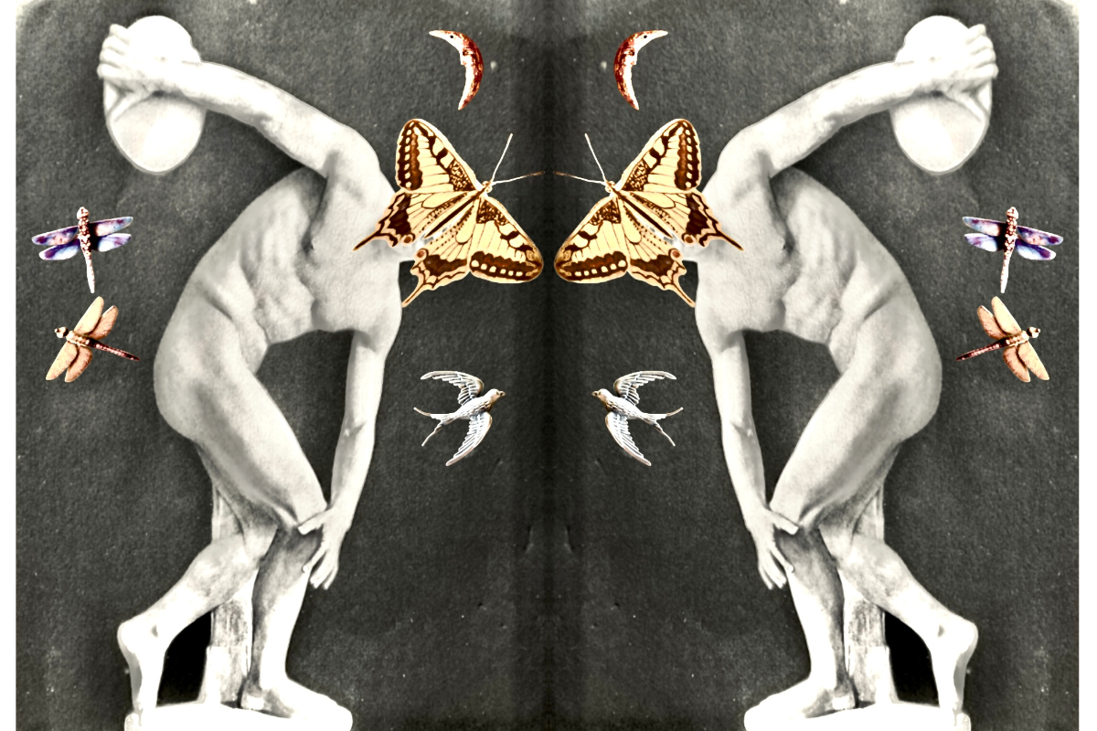 boubouのモーブ色の犬1