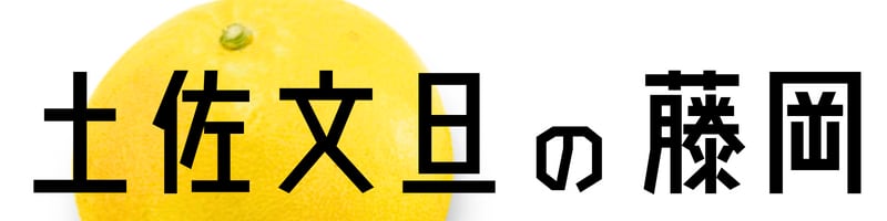 土佐文旦の藤岡｜ハウス文旦・温室土佐文旦を農家直送通販