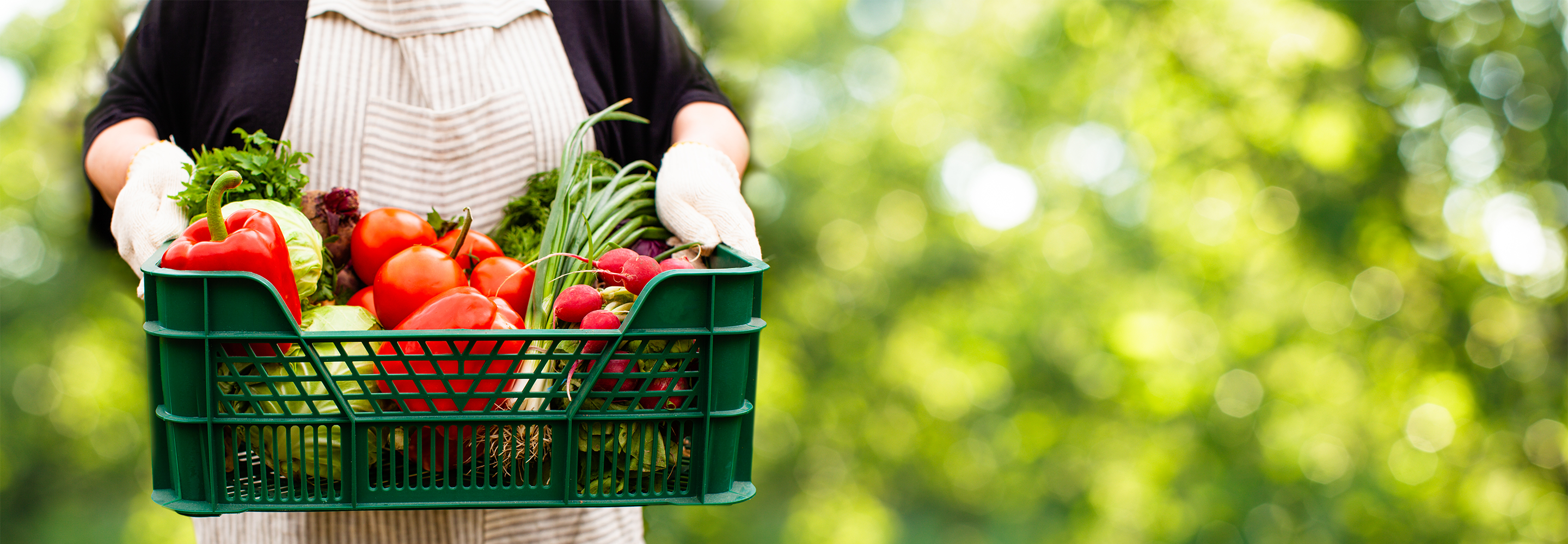 畑から、食卓へ。