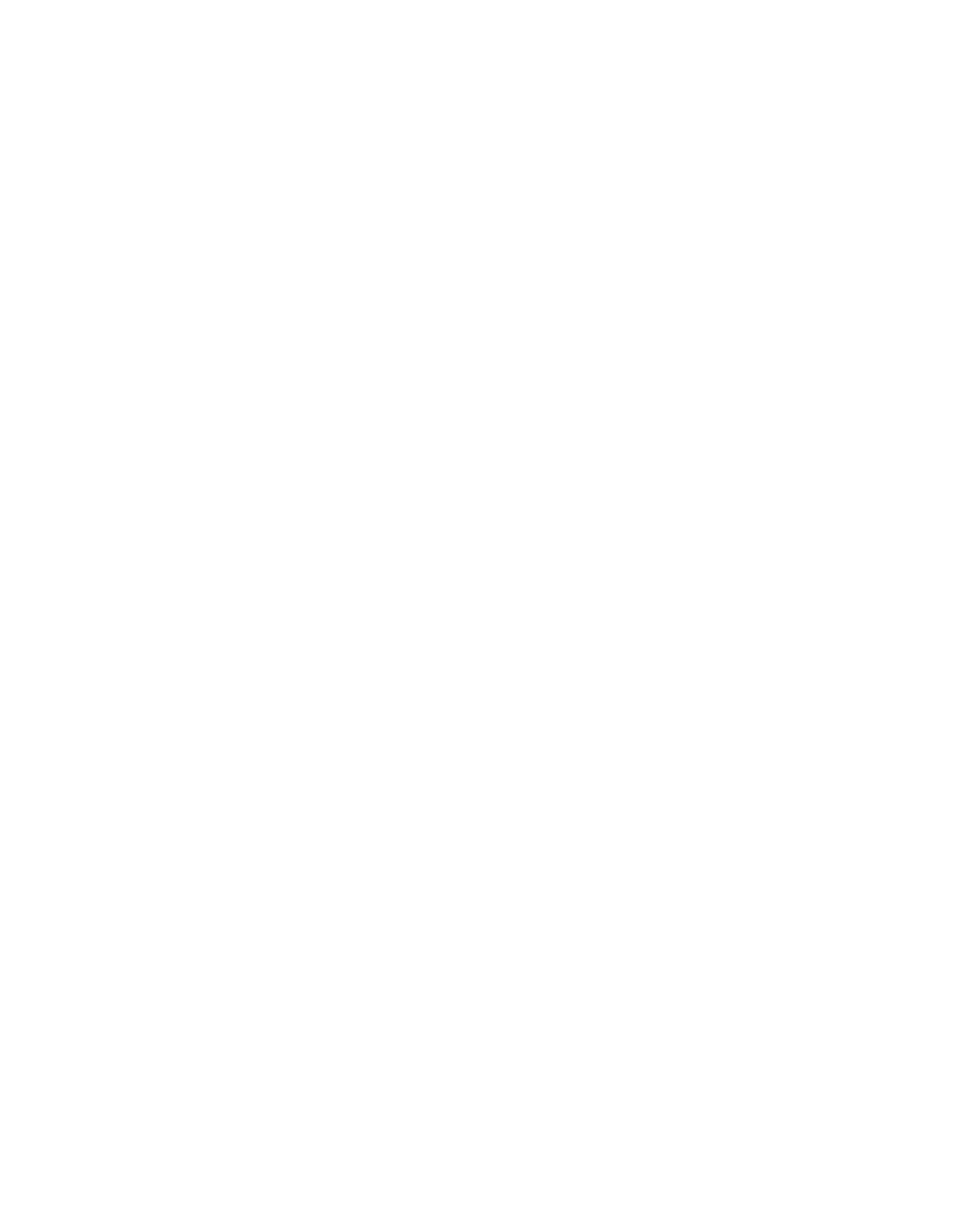 carry shop 