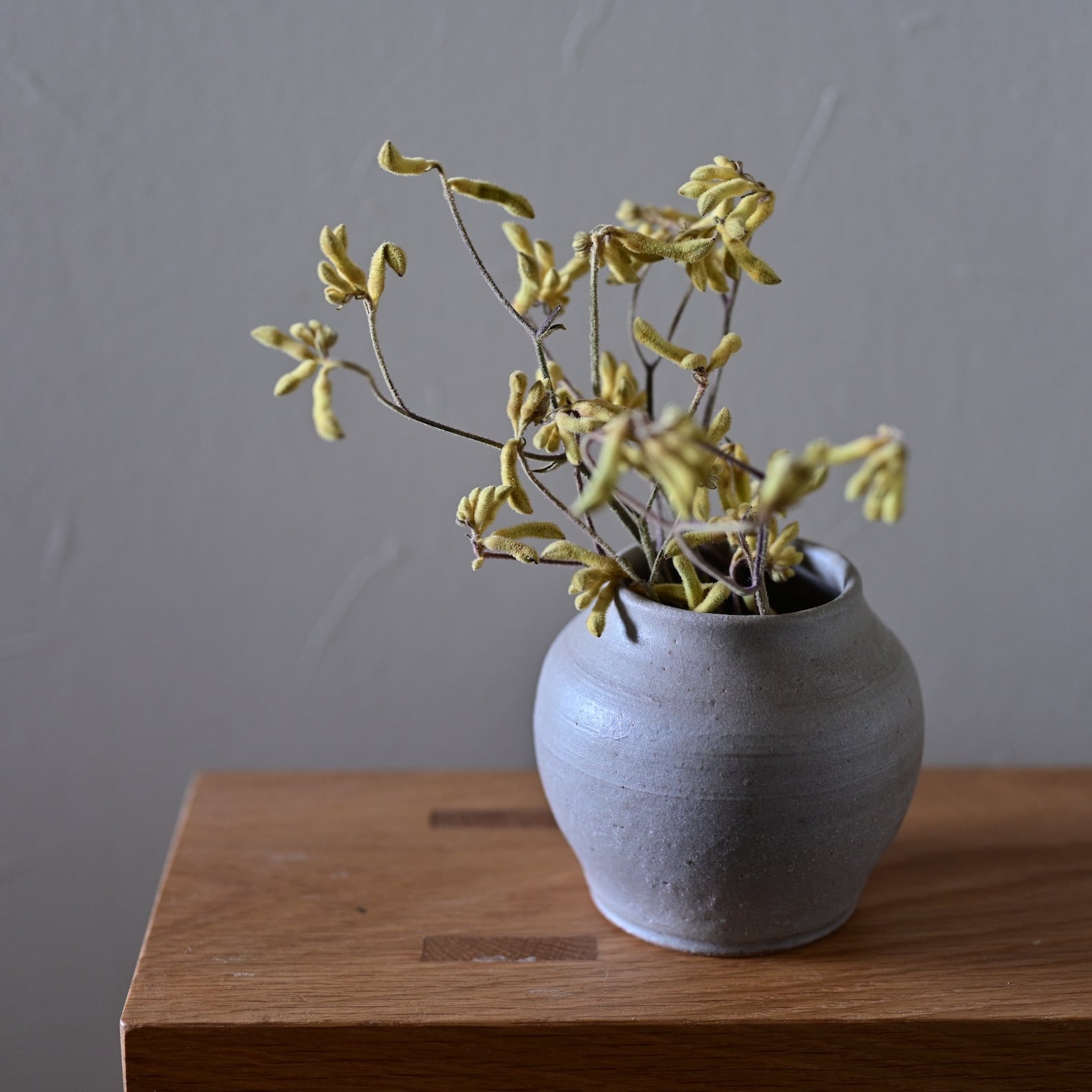 2/17 たくまポタリーのいろいろ!