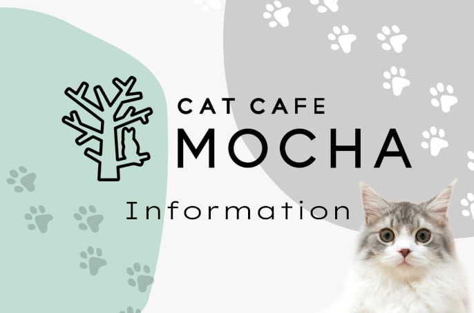 猫カフェMOCHA