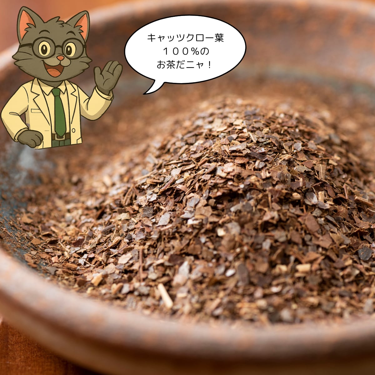 🌿キャッツクローの魅力とは？