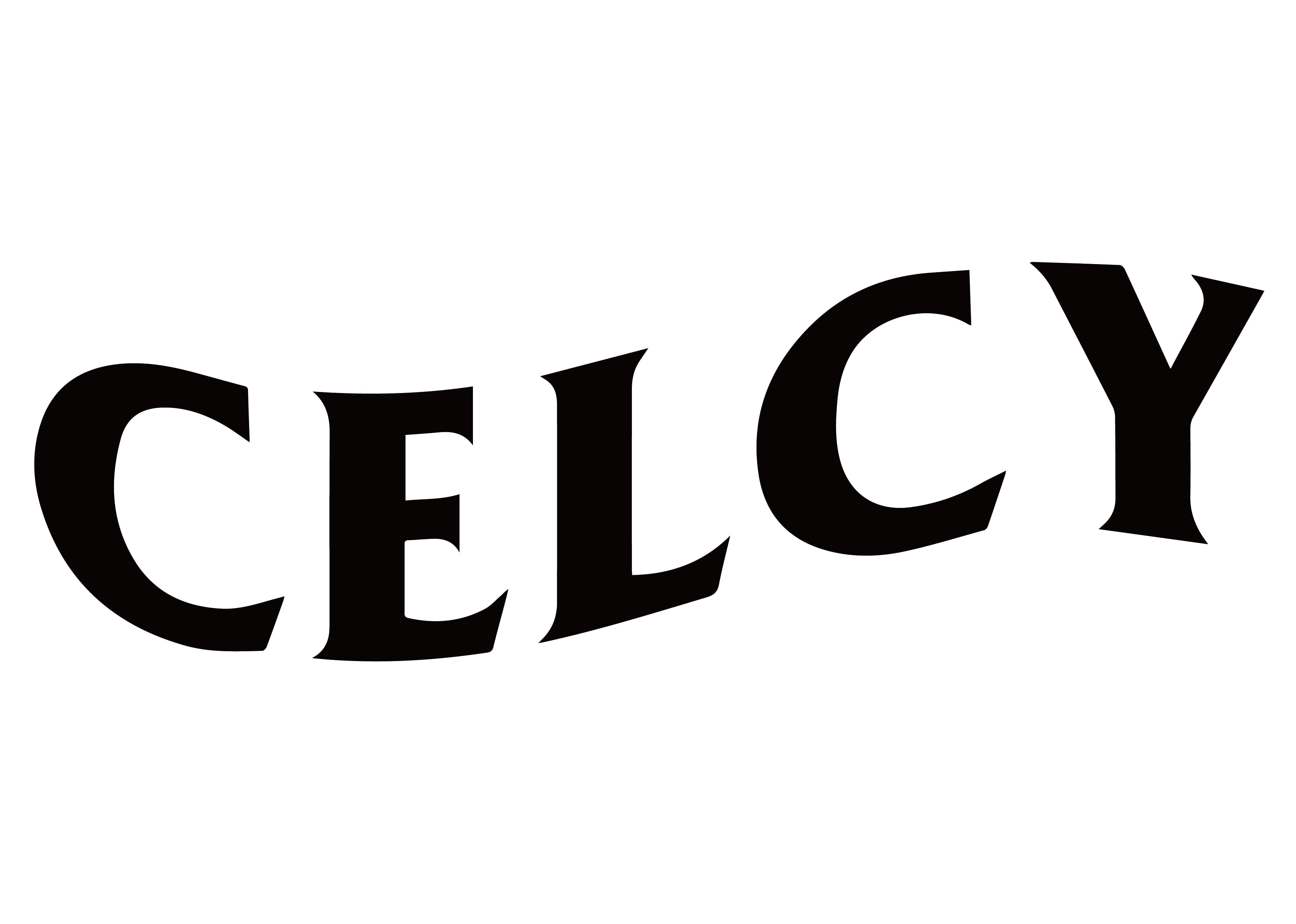 CELCY ONLINE STORE