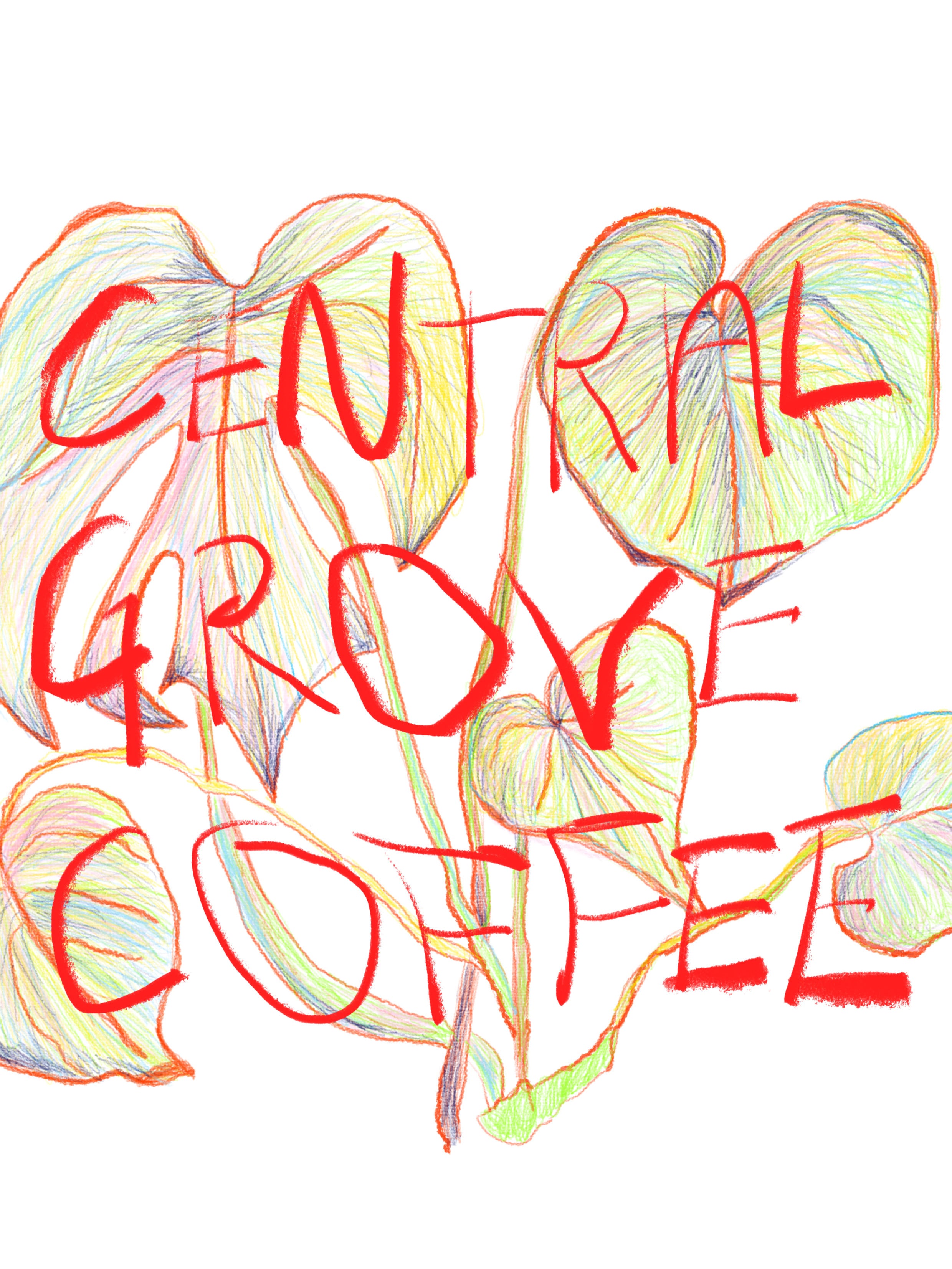 CENTRAL GROVE COFFEE