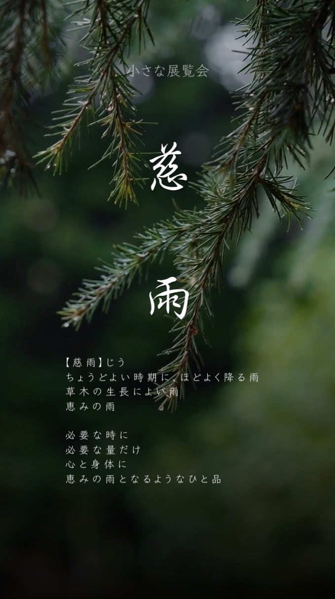 慈雨
