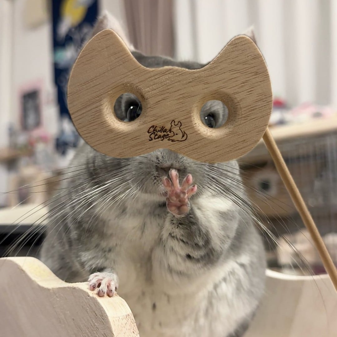 chillastage紹介画像1