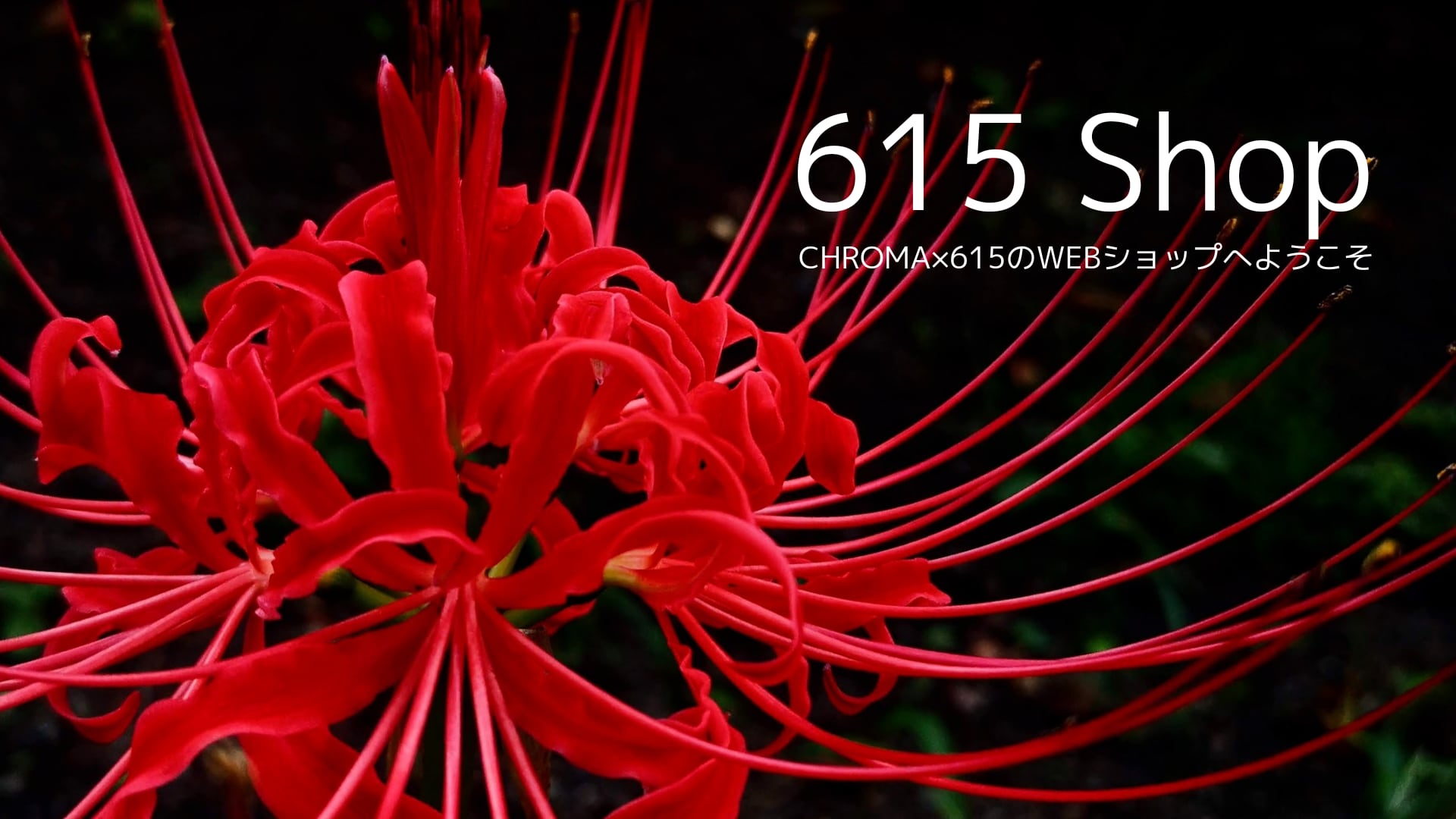 CHROMA×615