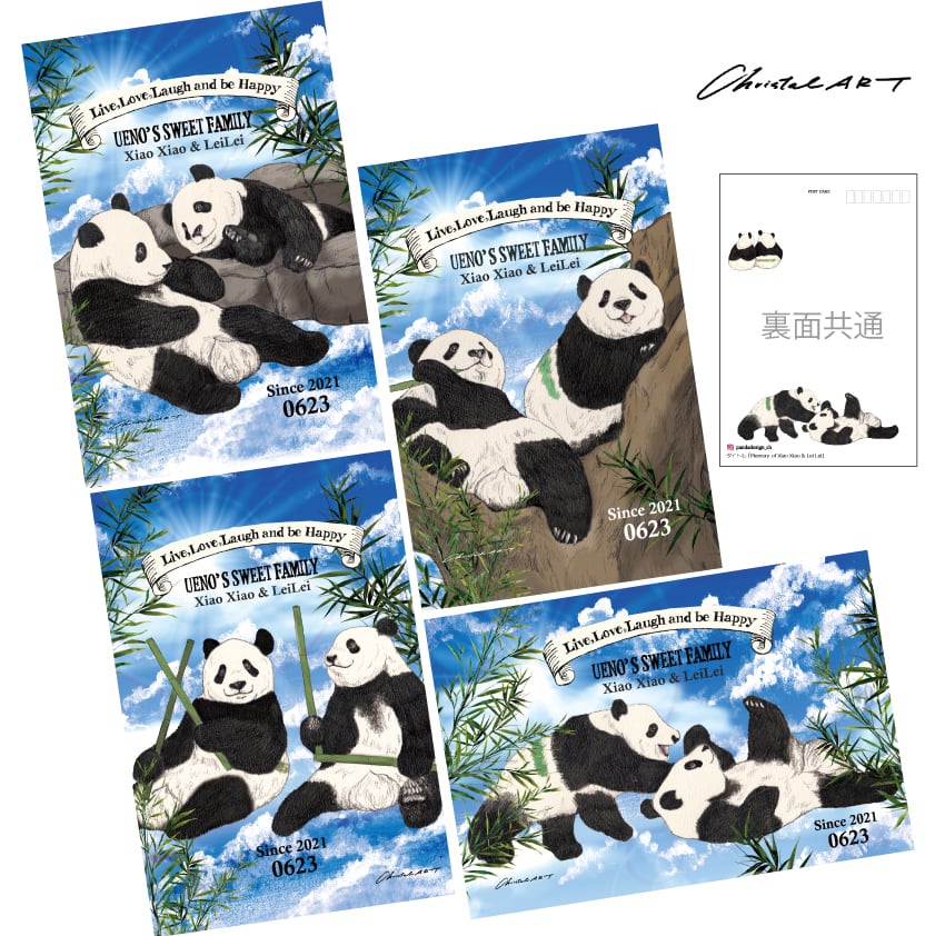 ◆2月発売予定◆上野案内所さん限定◆ポストカードセット