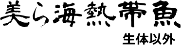 美ら海熱帯魚（生体以外）