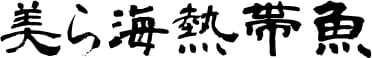 美ら海熱帯魚（天然海水専売サイト）