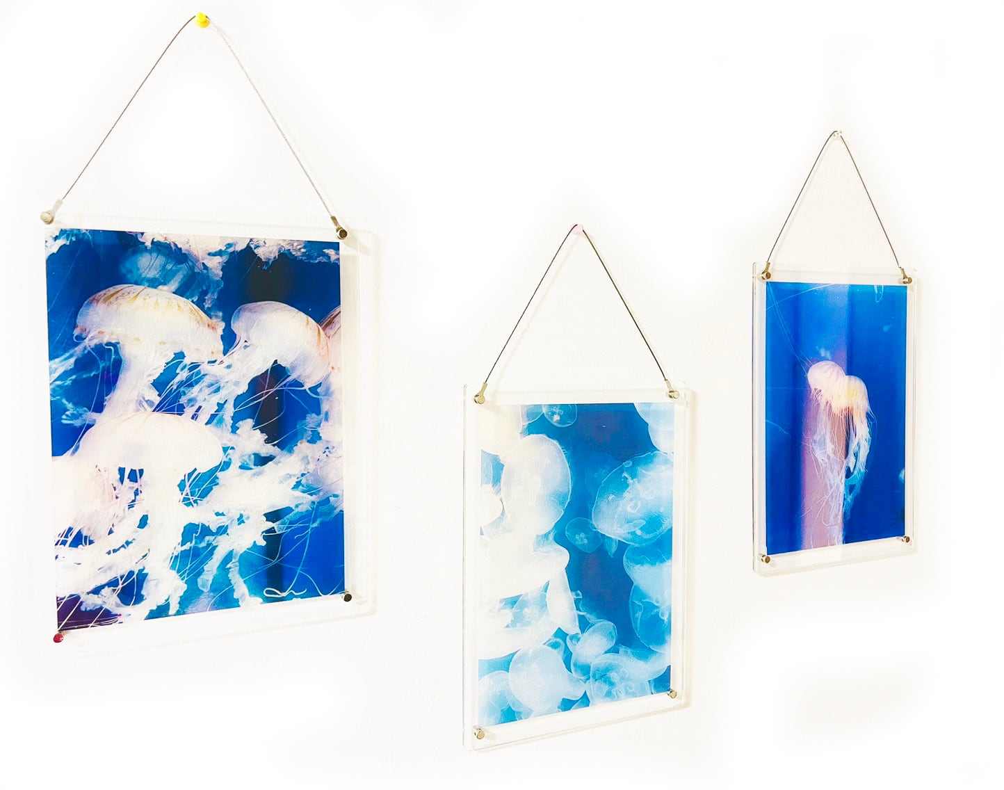 Clear Photo Studio