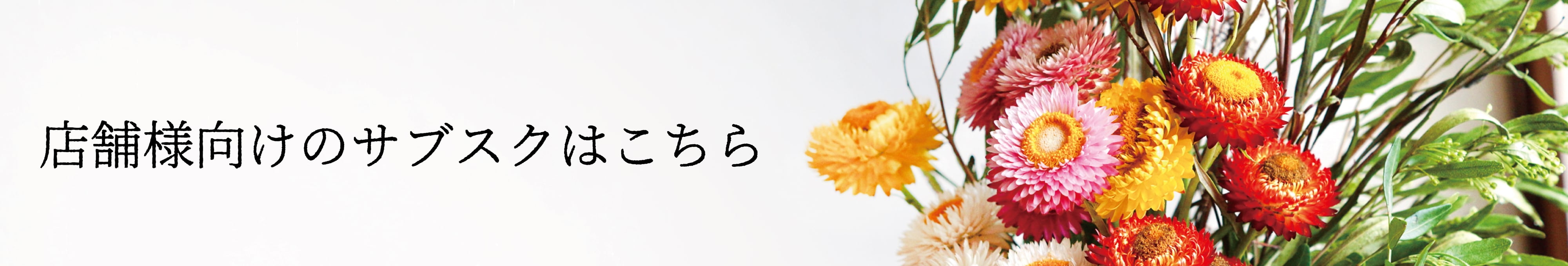 バナー