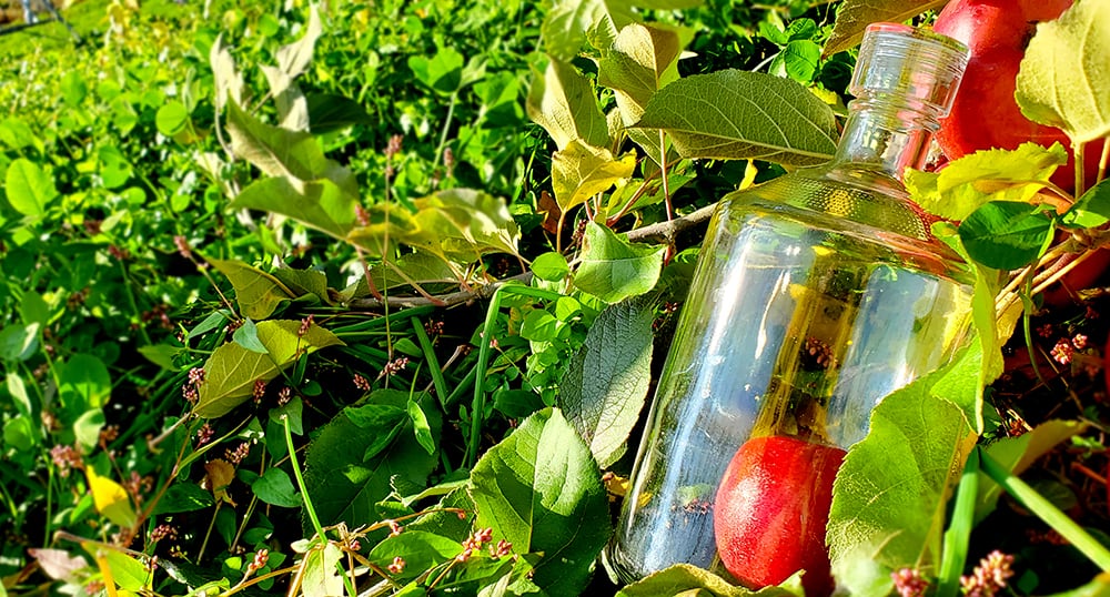 C'est la vie Pomme 《セラヴィ ポム》