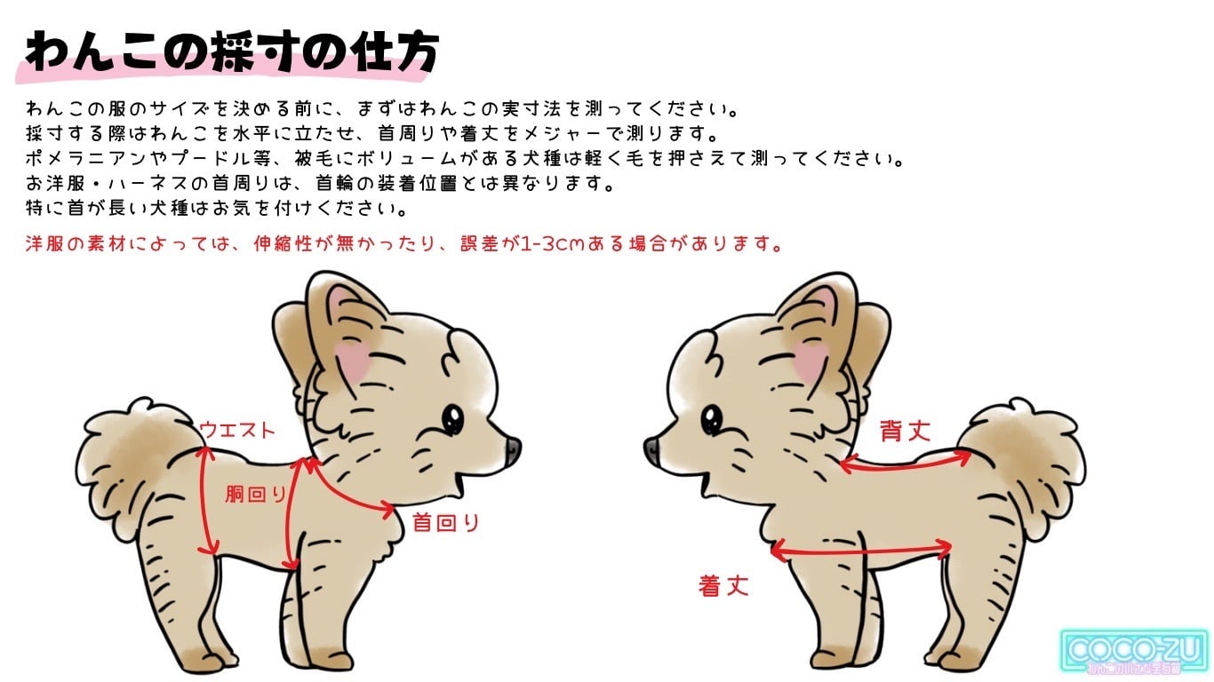 COCO-ZU ＊わんこの小さな宝石箱紹介画像2