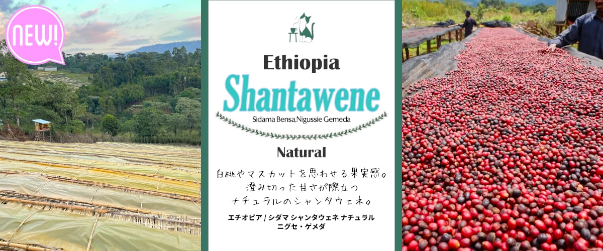 コーヒー豆やハチワレ堂