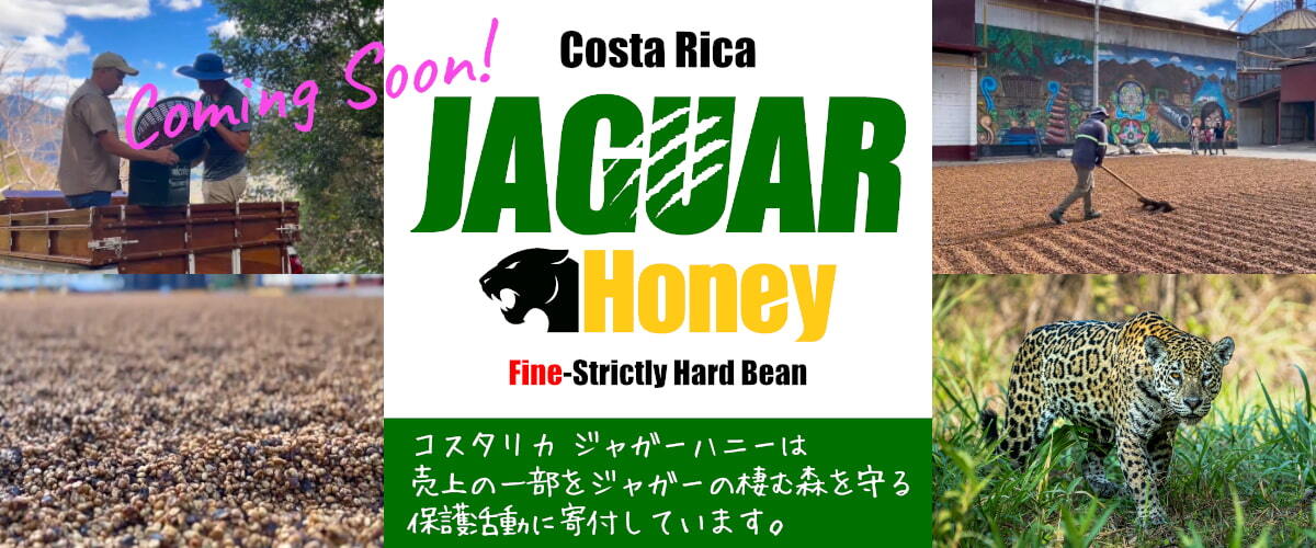コーヒー豆やハチワレ堂