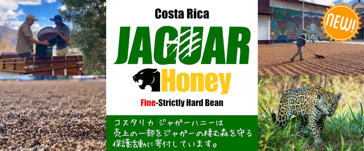 コーヒー豆やハチワレ堂