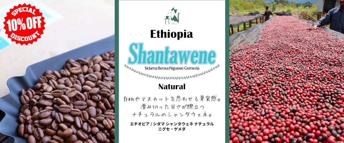 コーヒー豆やハチワレ堂