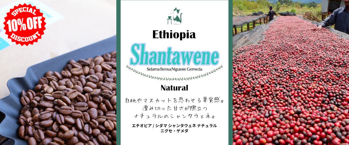コーヒー豆やハチワレ堂