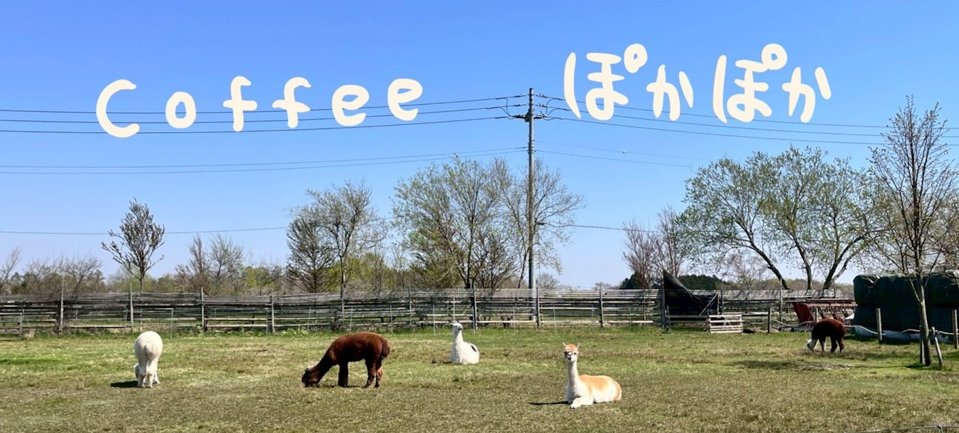 Coffeeぽかぽか