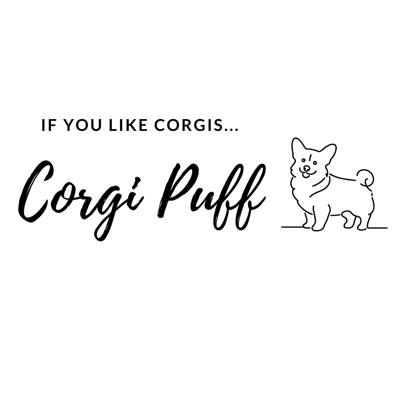 corgi puff