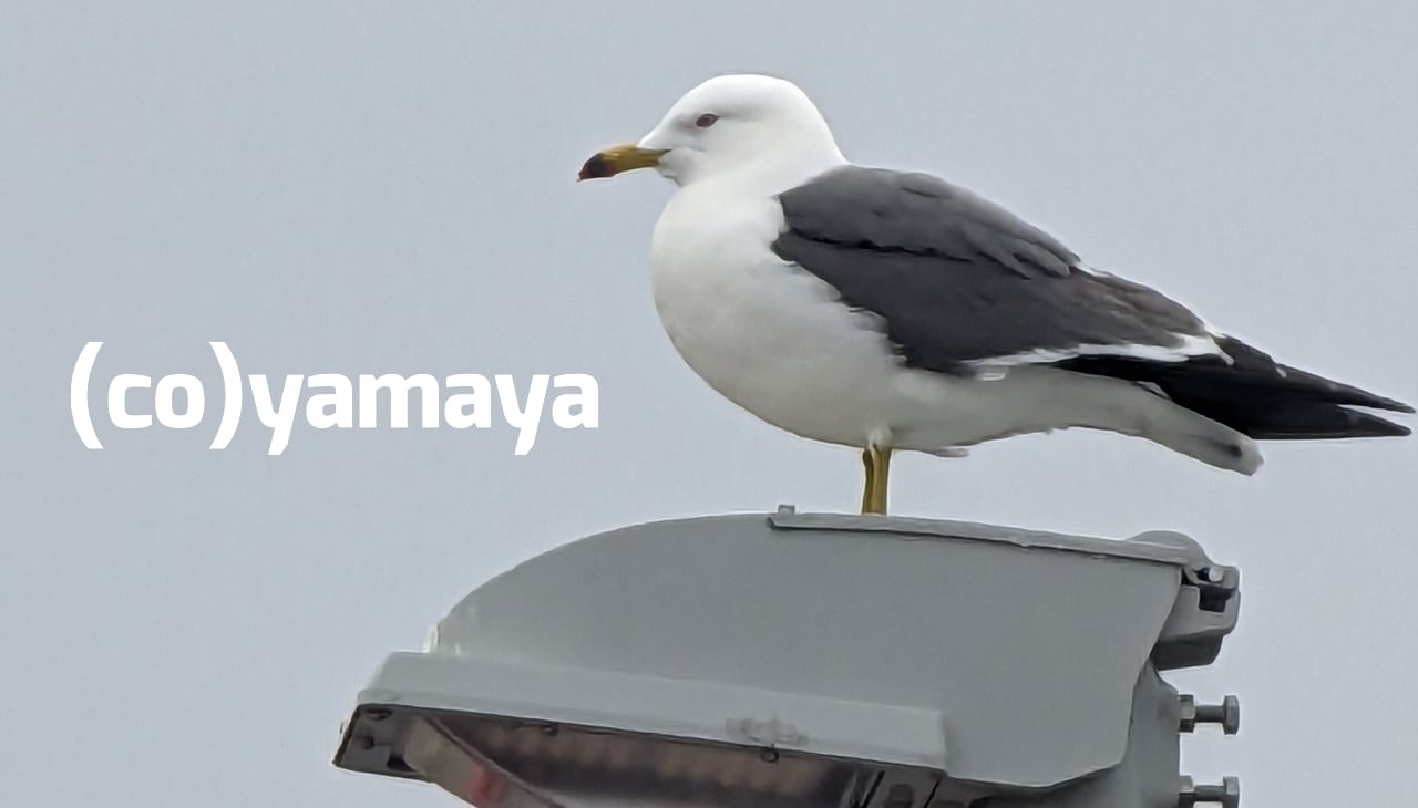 (co)yamaya