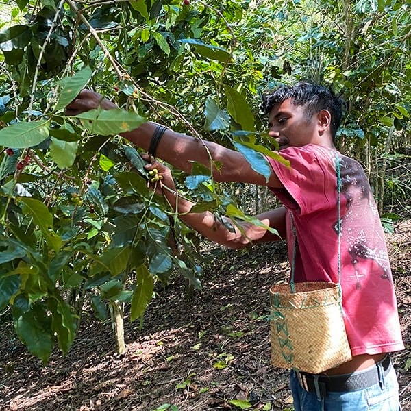 Timor-Leste Renumata village, Washed