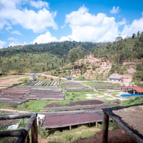 RWANDA Ngera Washing Station Anearobic