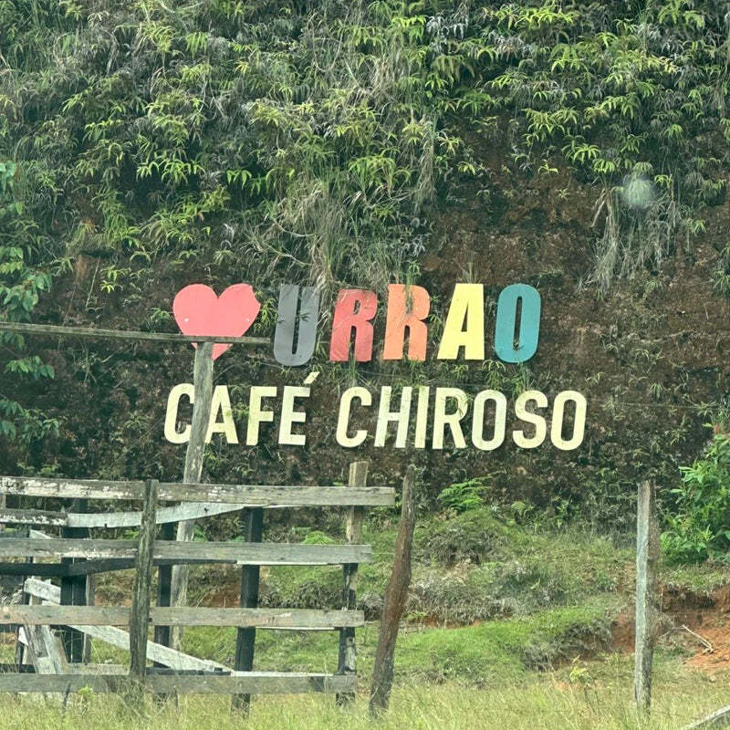 TROPICAL  CHIROSO!!