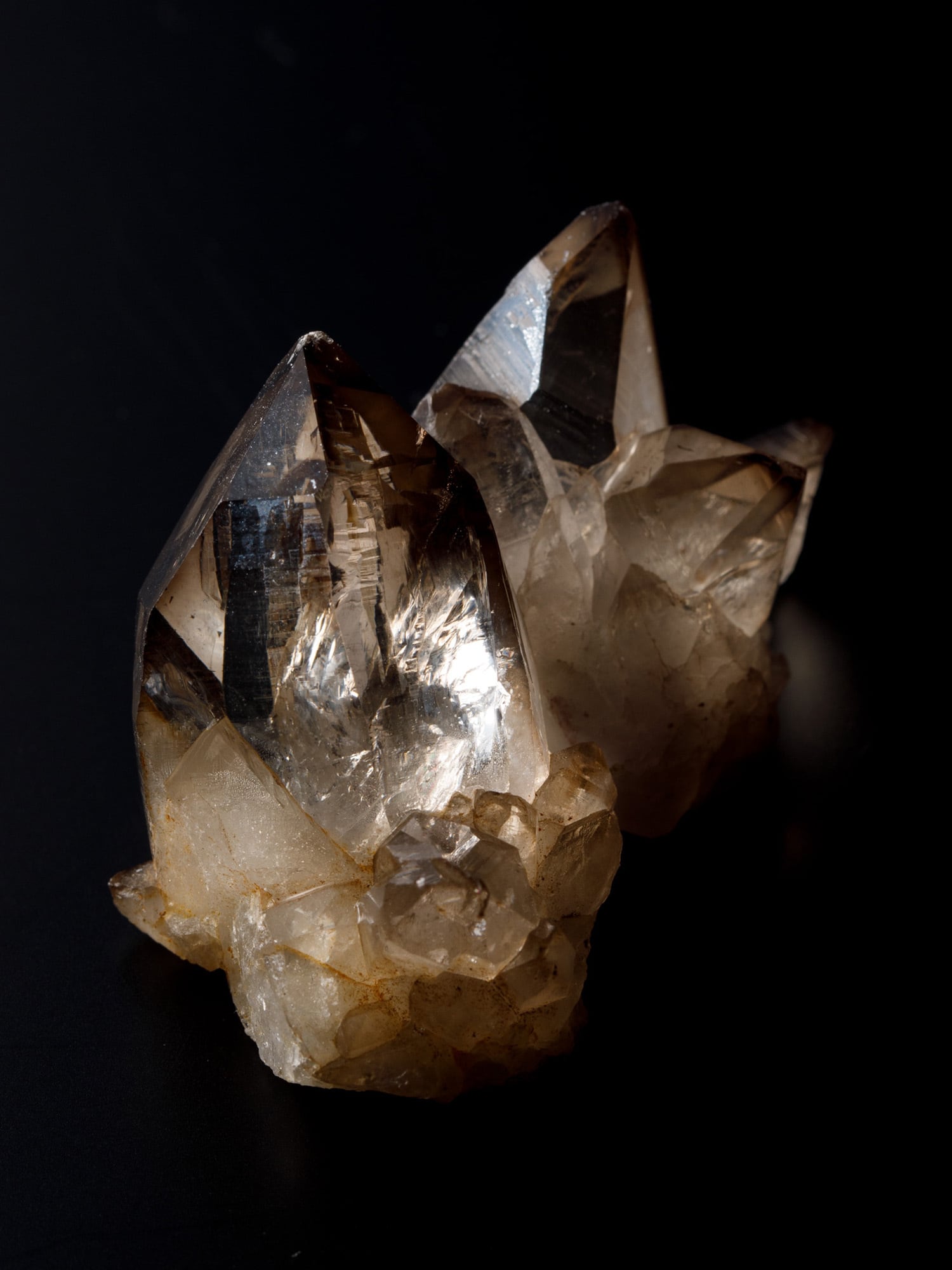 宮崎スモーキー