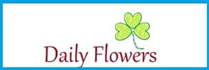 Daily Flowers