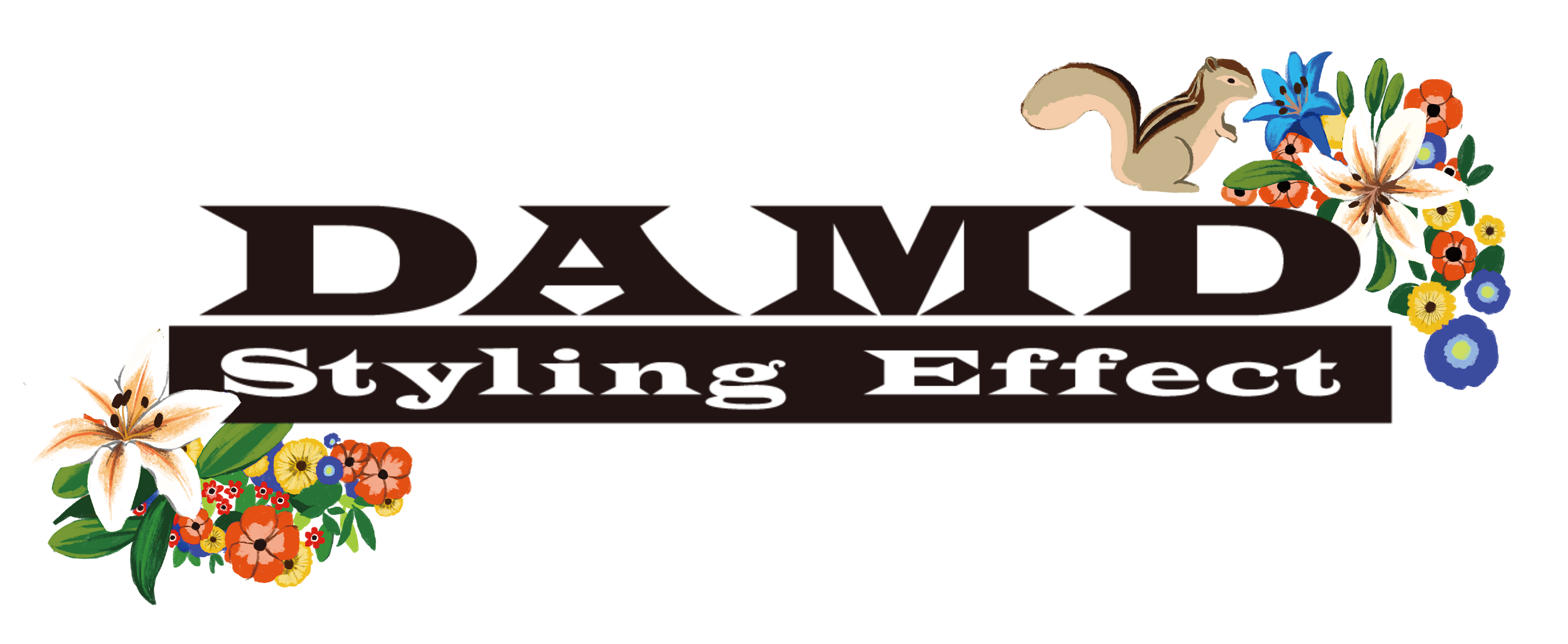 DAMD LIMITED STORE