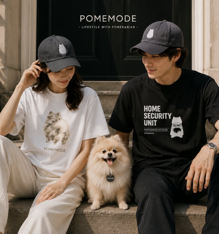 POMEMODE┃ポメモード