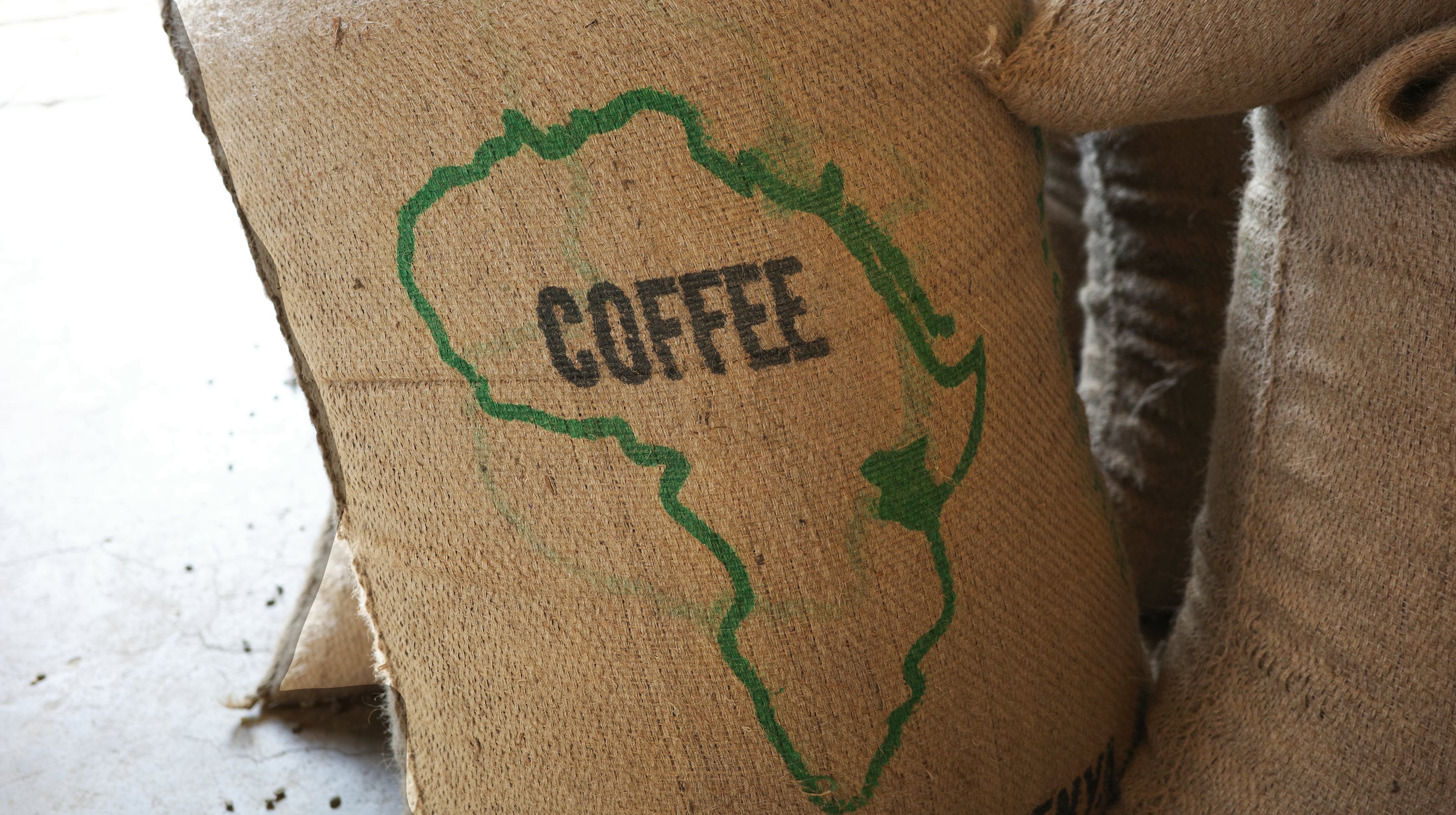 Dennis’ Mount Kenya Coffee （業務用STORE）