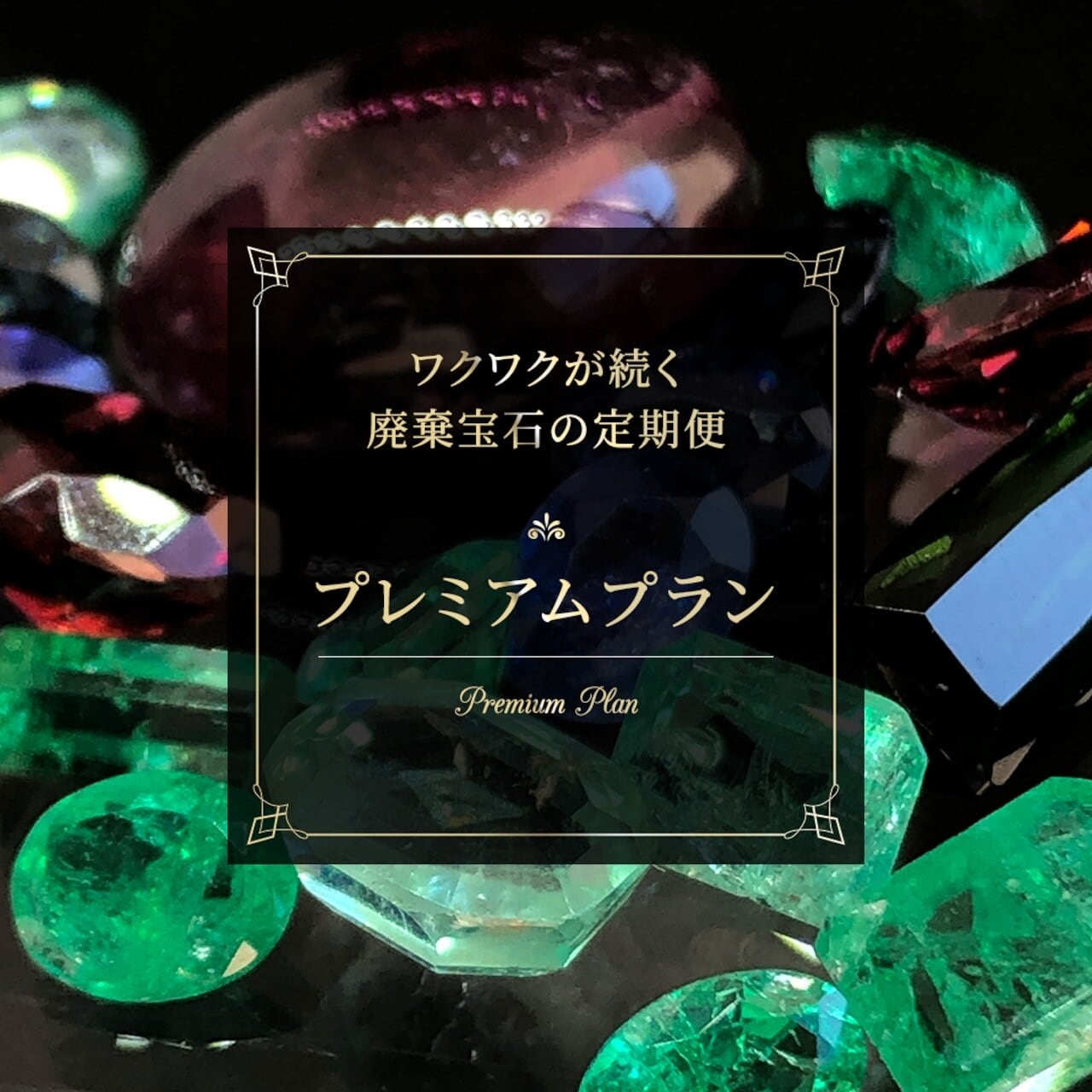 定期便プレミアムプラン💎