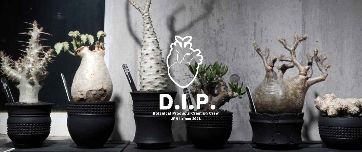 D.I.P. × AcQ  植物鉢