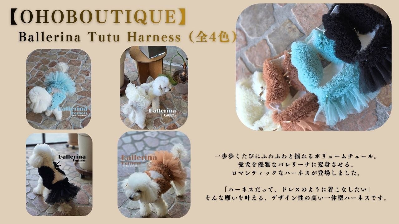 dogLaBoutique紹介画像2
