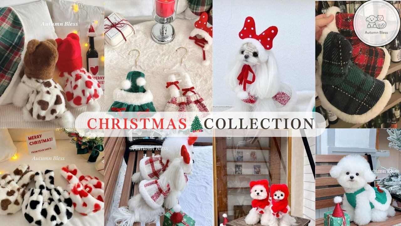 dogLaBoutique紹介画像2