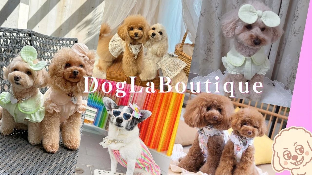 dogLaBoutique紹介画像1