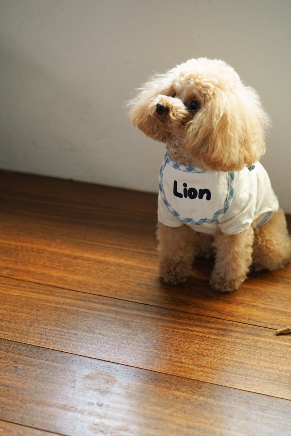 name bib/bandanna