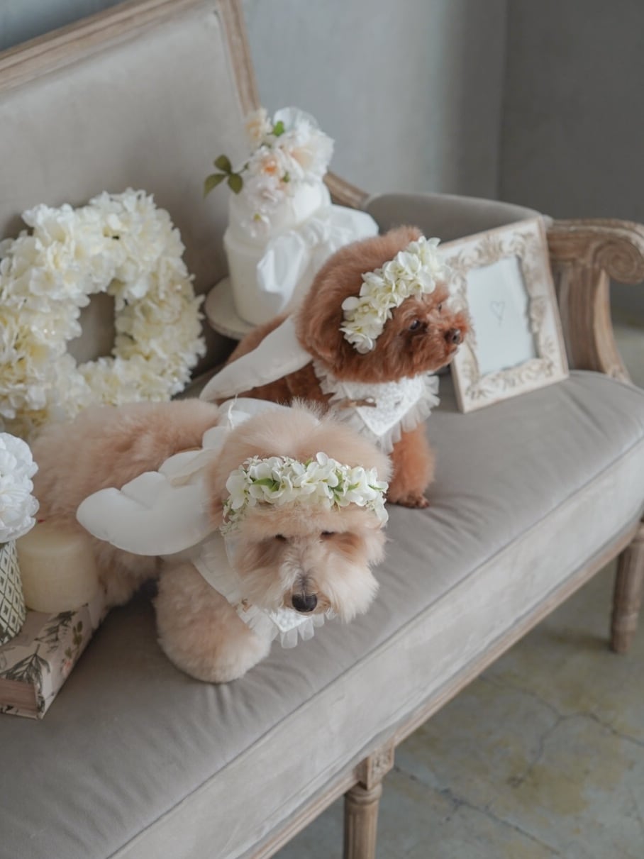 flower headband
