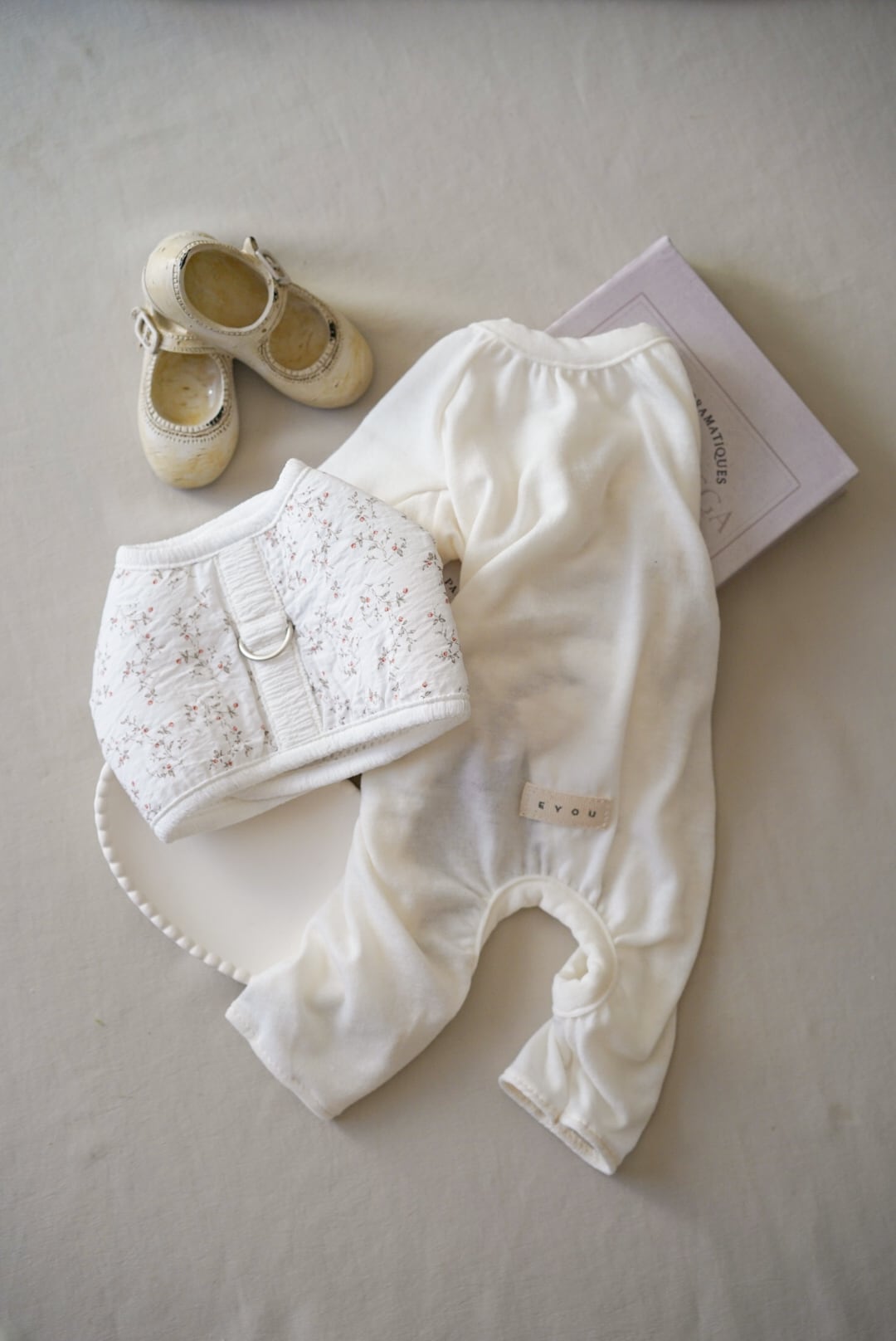 dog clothes