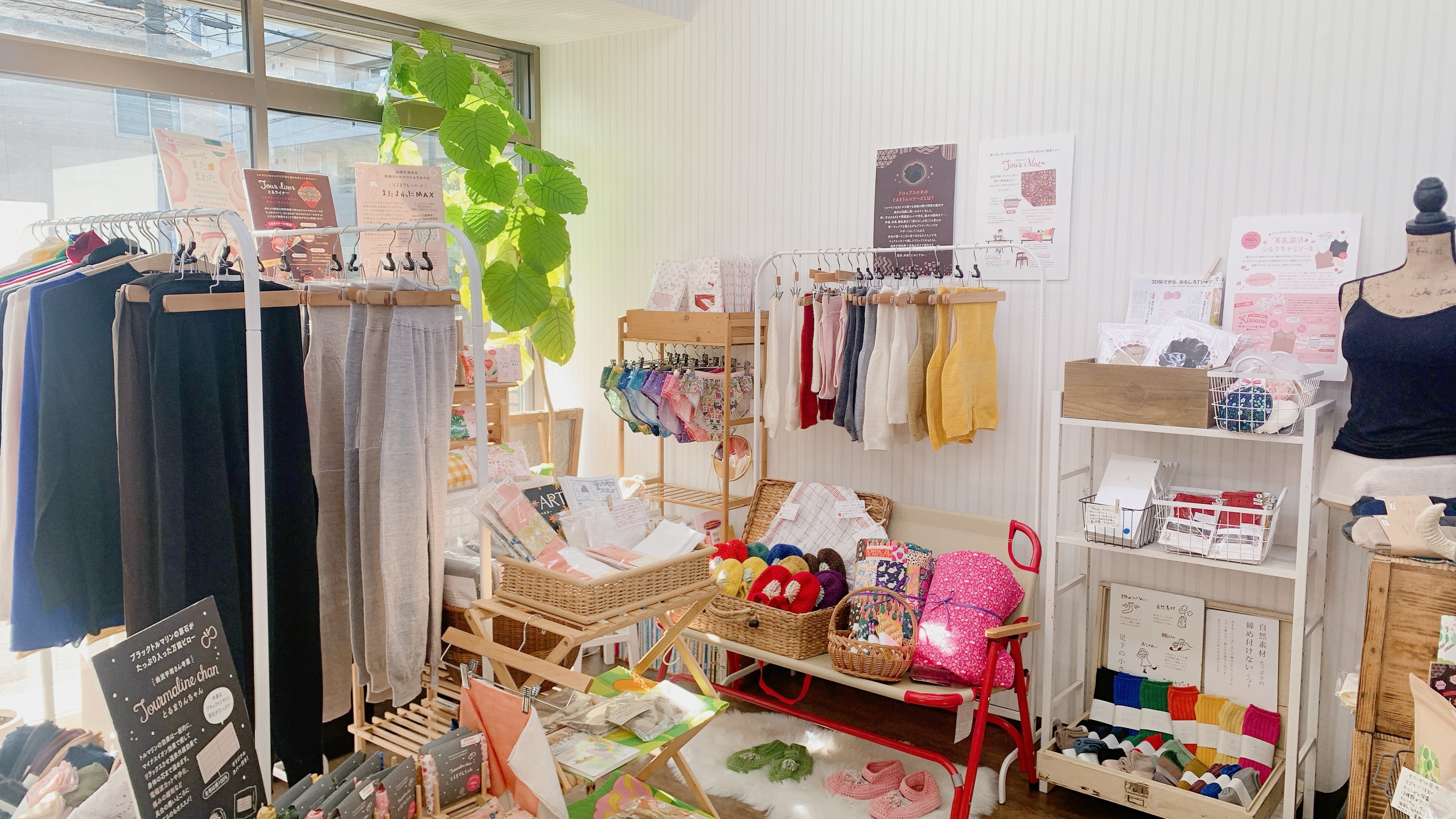 ドロップスの木紹介画像1