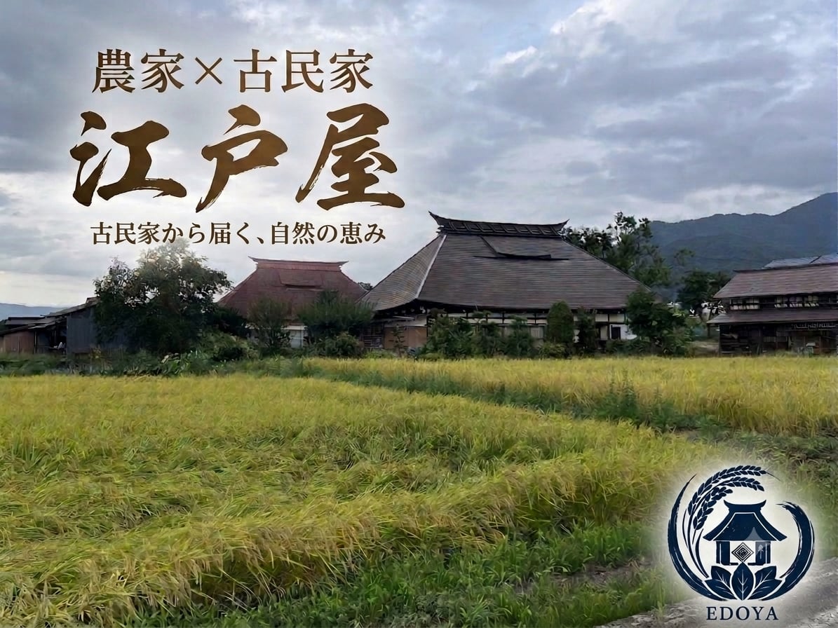 江戸屋