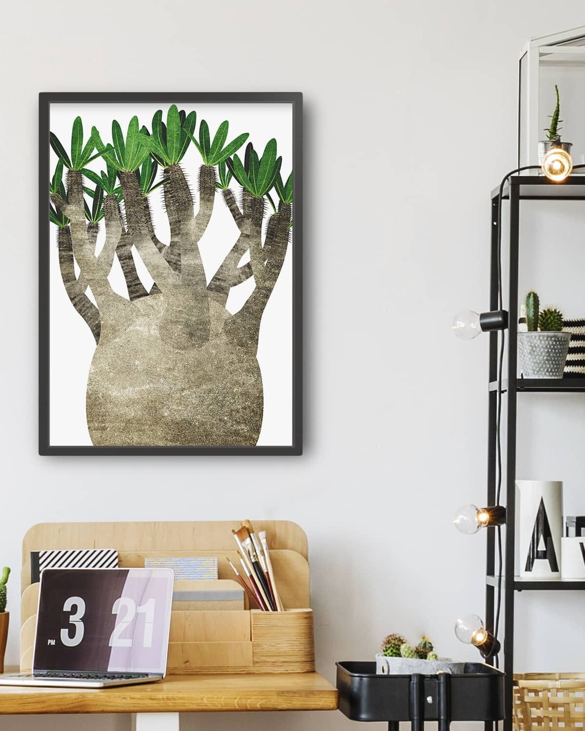 Pachypodium No.1 