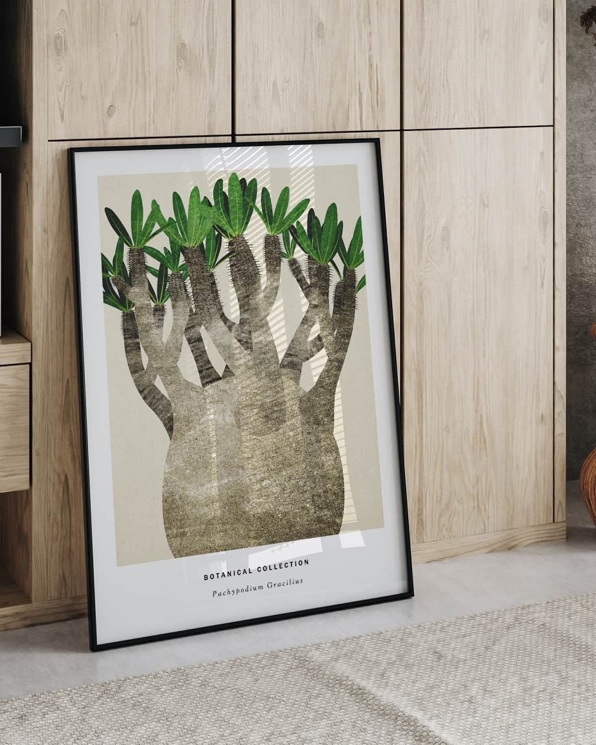  Pachypodium No.2