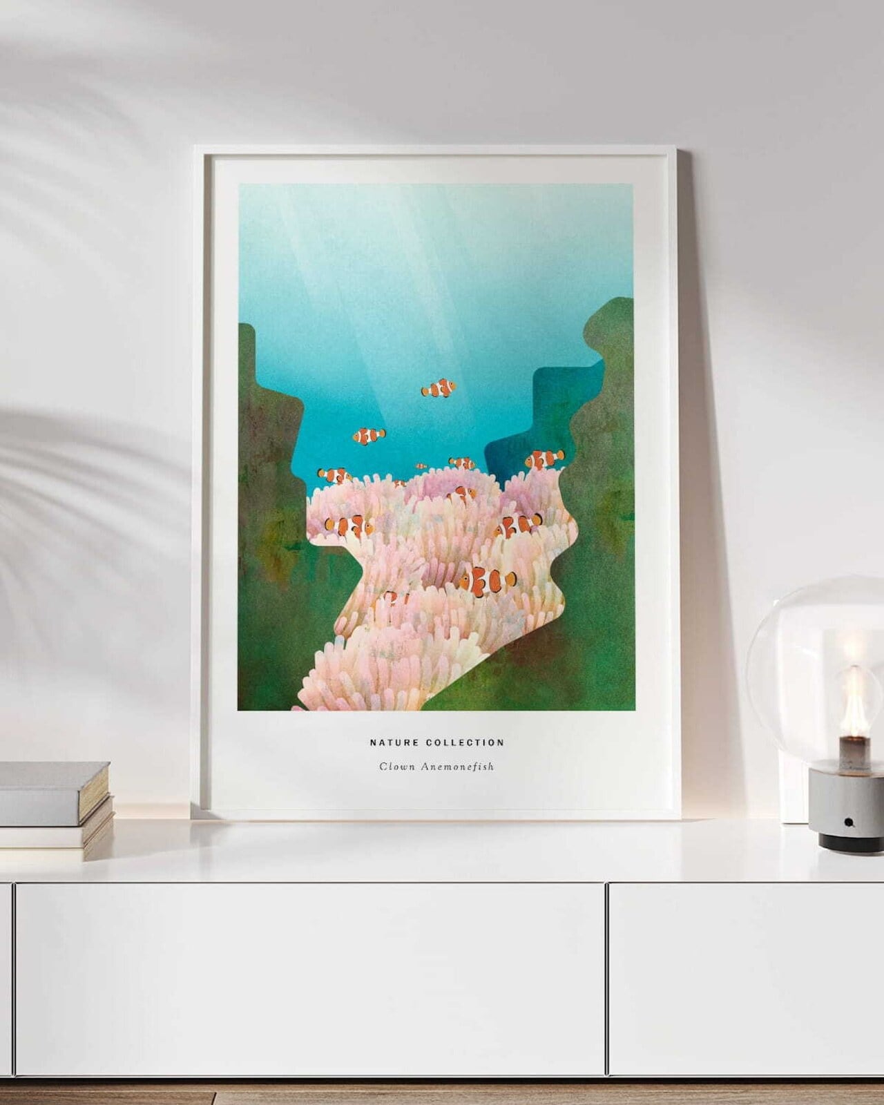 Clown Anemonefish eb221